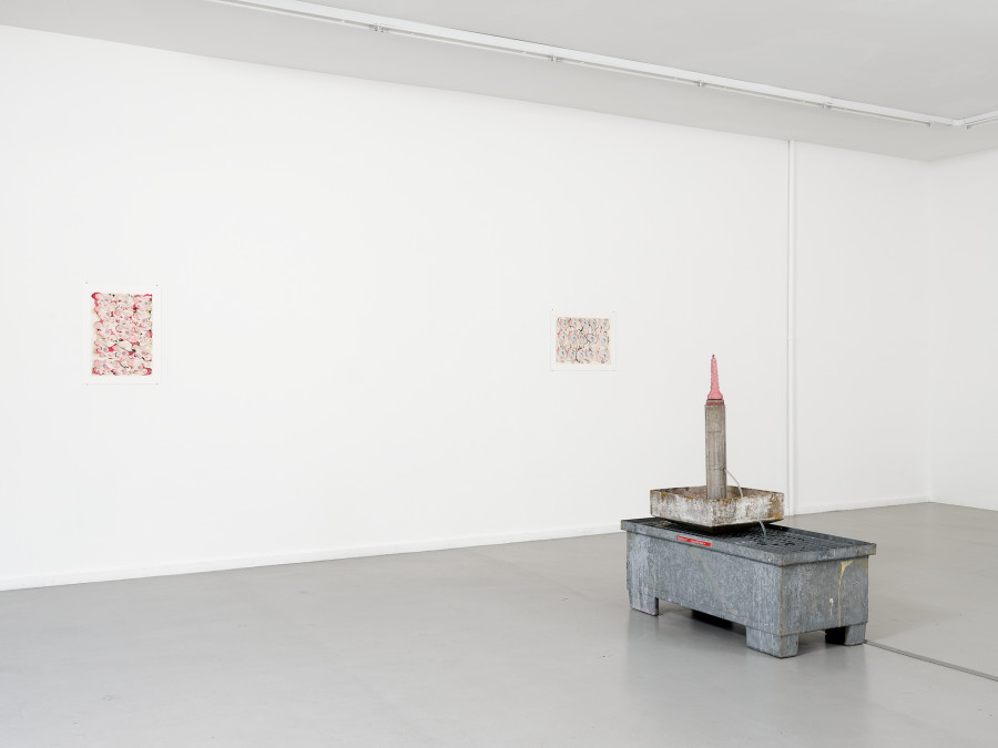 View of the exhibition Timothée Calame, Gymnique Incontinentale, CEC, 2025. Courtesy Centre d’édition contemporaine, Geneva. Photo : © Sandra Pointet