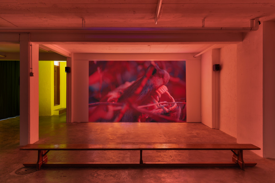 Exhibition view, Andro Eradze, Raised in the dust, Video 4K, 8:12 min, 2022, commissioned by La Biennale di Venezia. Courtesy of the artist and SpazioA Pistoia. Photo credit: Mattia Angelini. Images copyright courtesy Sonnenstube