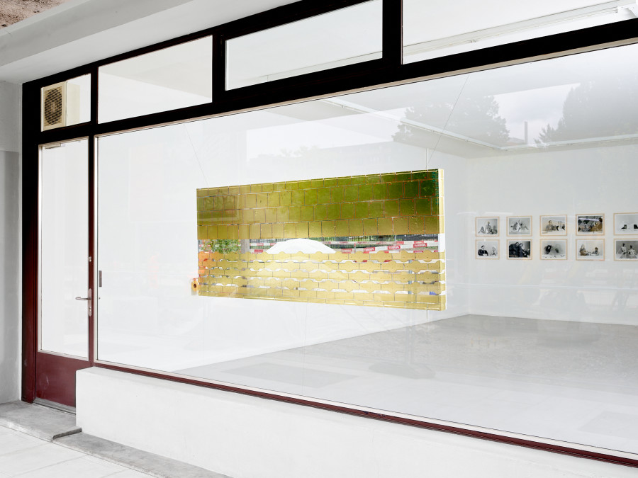 View of the exhibition RM, SOLO TÚ, CEC, 2023 Courtesy Centre d’édition contemporaine, Geneva Photo : © Sandra Pointet