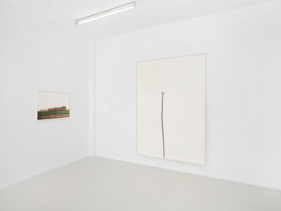 Installation view, Naturæ, Skopia, Geneva, 2026. Photo credit: Julien Gremaud, courtesy of the artists and Skopia