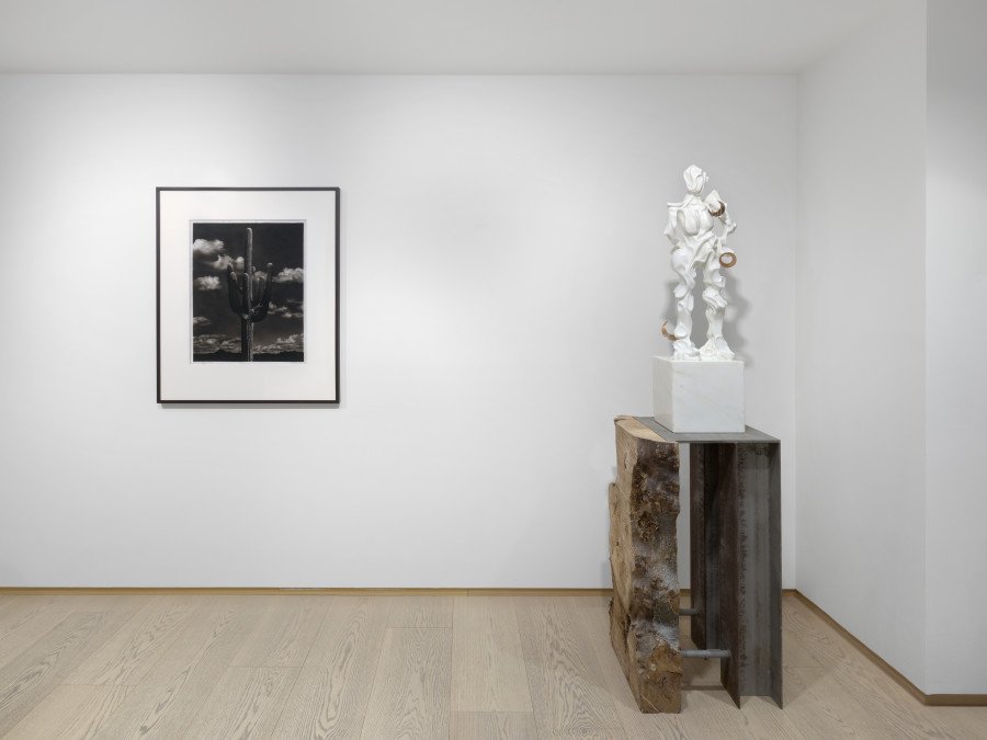 Installation view, Pace: 65 Years, Pace Gallery, Geneva, 2025. Photo: Annik Wetter, courtesy Pace Gallery
