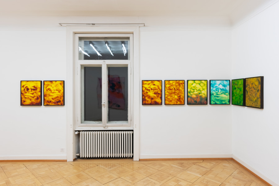Exhibition view, Idyll, Christian Hoosen & Janes Haid-Schmallenberg, dacodac, 2024.
