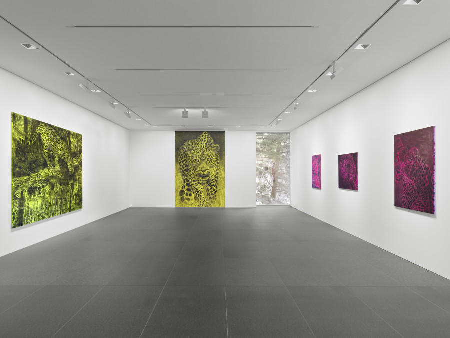 St. Moritz, Galerie Andrea Caratsch, Dokoupil – Leopards, 6.12.2021–22.4.2022, installation view.