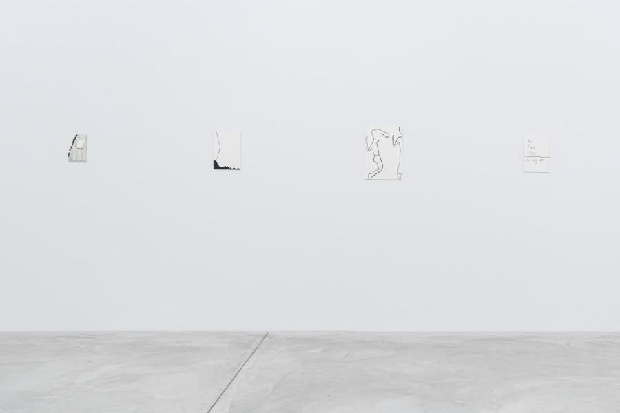 Silvia Bächli, Ausstellungsansicht Dass eins zum anderen wurde. Welches welches ist?, Kunst Museum Winterthur, 2024. Foto: Reto Kaufmann, Zürich