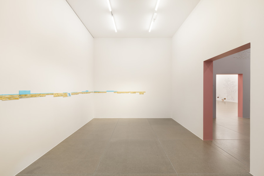Installationsansicht Ishita Chakraborty, Manor Kunstpreis 2024, 24.5. –24.8.2025, Aargauer Kunsthaus. Ishita Chakraborty, Forest Floor, 2025. © Ishita Chakraborty. Foto: Luca Klett, Zürich