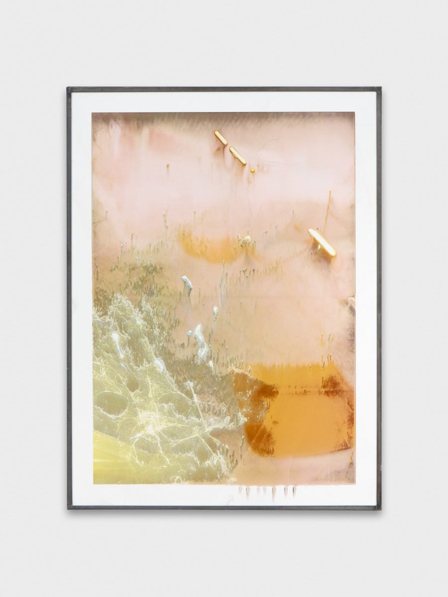 Jean-Vincent Simonet, Spiderweb (heirloom), 2022, Inkjet print on plastic foil, fingertips intervention, handmade lead frame, anti-reflective glass, 42 × 31cm. Photography:  Philipp Rupp / Julien Gremaud. Courtesy of Sentiment and the artist