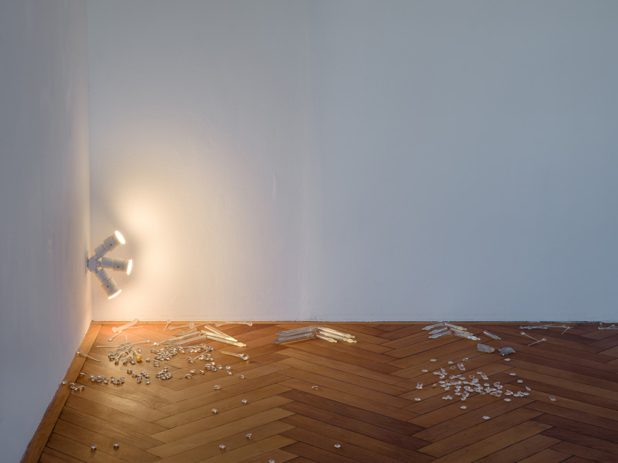 Nancy Lupo, Tom, installation view, Stadtgalerie Bern, 2026. Photo: Cedric Mussano