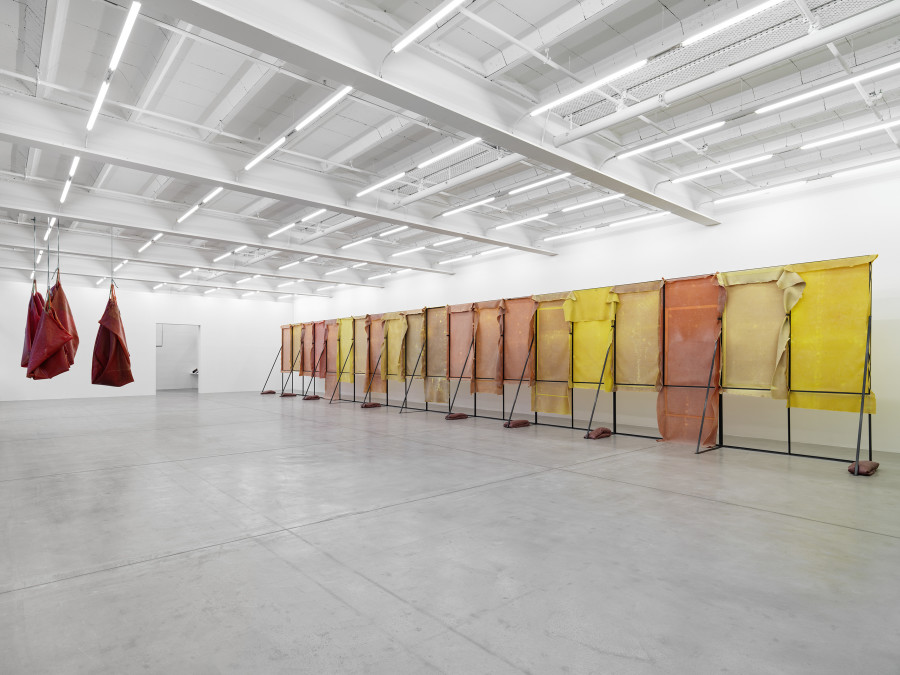 Installation view, Liesl Raff, A Corridor, a Room, and Four Dens, Galerie Eva Presenhuber, Maag Areal, Zurich, 2025. © Liesl Raff. Courtesy the artists and Galerie Eva Presenhuber, Zurich / Vienna. Photo: Stefan Altenburger Photography, Zürich