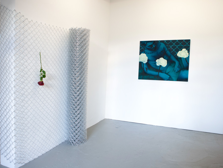 Exhibition view, David Weishaar, The Rose is without ‘Why’, KALI Gallery, 2022. Photo credit @vogeleye and @KALI Gallery Lucerne