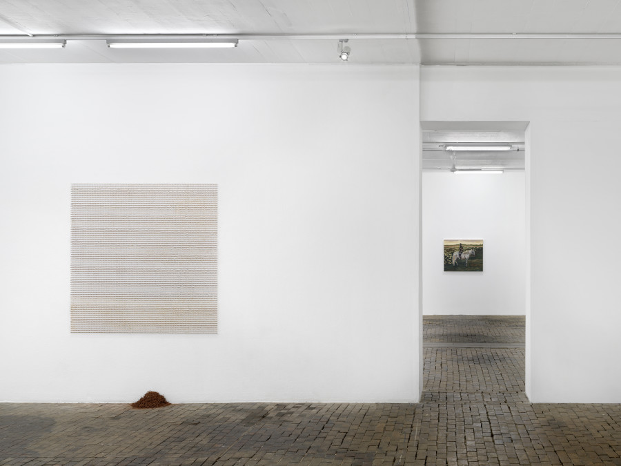 Exhibition view of Rituals of Care by Antonio Obá at Centre d’Art Contemporain Genève (November 16, 2024-February 16, 2025). © Centre d’Art Contemporain Genève. Photo: Annik Wetter