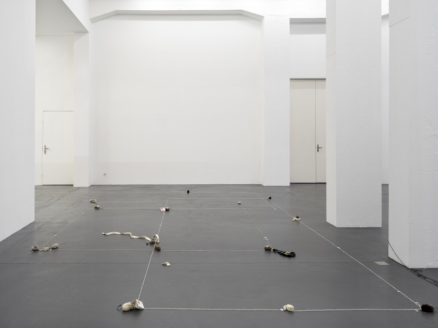 Installation view, Min Yoon, Perspectives + ing, Galerie Francesca Pia, Zurich, 2024. Photo: Cedric Mussano