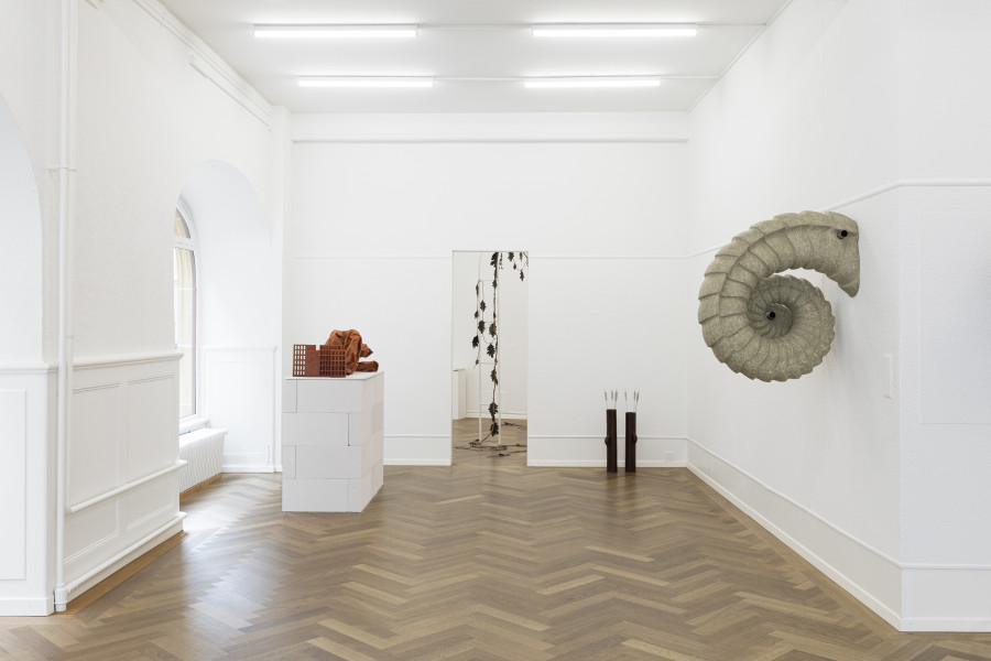 Installation view, FIRST IMPRESSIONS, KRONE COURONNE, 2024. Photo credit: © Michal Florence Schorro