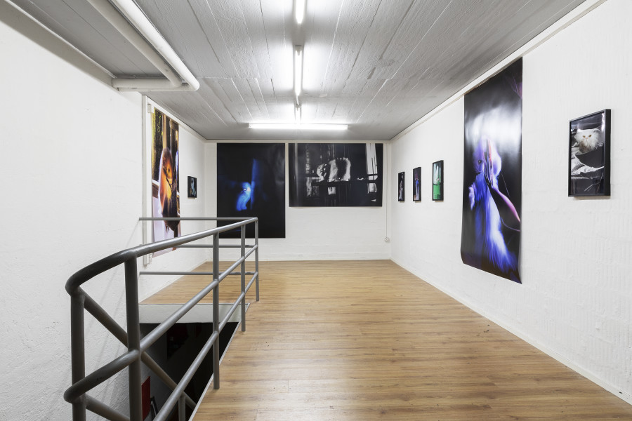 Installation view, Rob Kulisek, Nine Lives of Hermann Nitsch, Plymouth rock, 2023-2024.