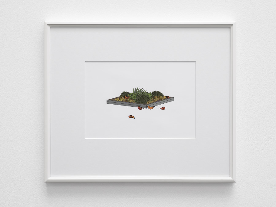 Gili Tal, False Autumn (planter, fallen leaves), 2023, Inkjet print on paper in artist’s frame, 42.6 x 50.8 x 3 cm