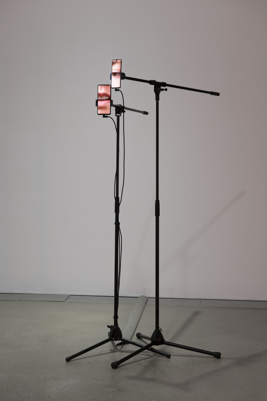 Daniela Brugger, Something invisible does not necessarily describe something absent, 2022, Installationsansicht «Perfoming Traces, Regionale 23», 2022, HEK, Foto: Franz Wamhof