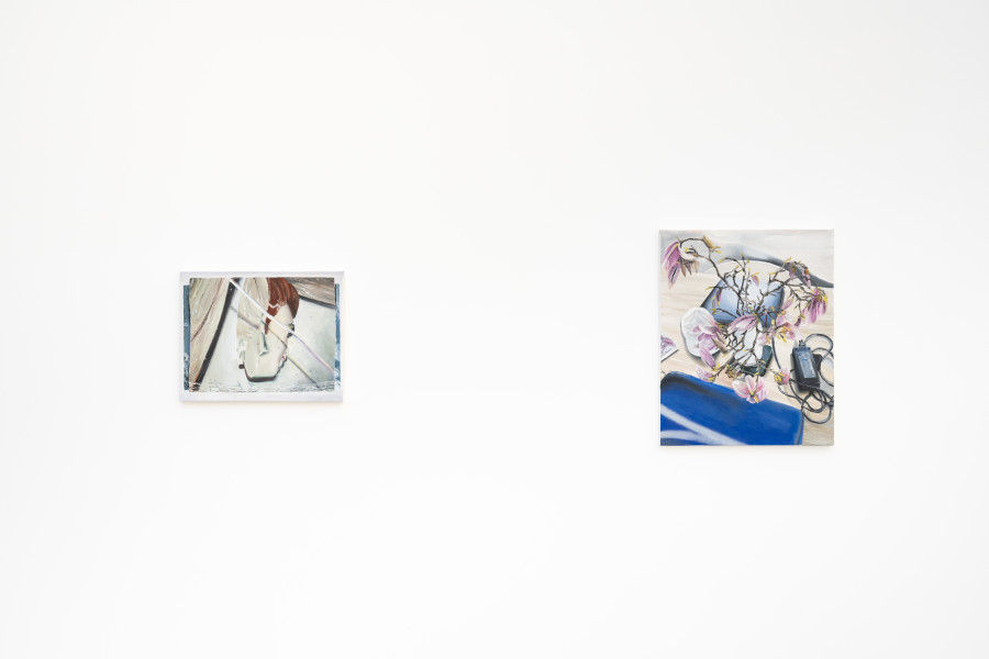 Mireille Blanc, Masque, 2023; Magnolia, 2024. Courtesy of the artist and Galerie Anne-Sarah Bénichou. Installation view Kunsthaus Baselland 2026. © 2026, ProLitteris, Zurich. Photo: Finn Curry / Kunsthaus Baselland