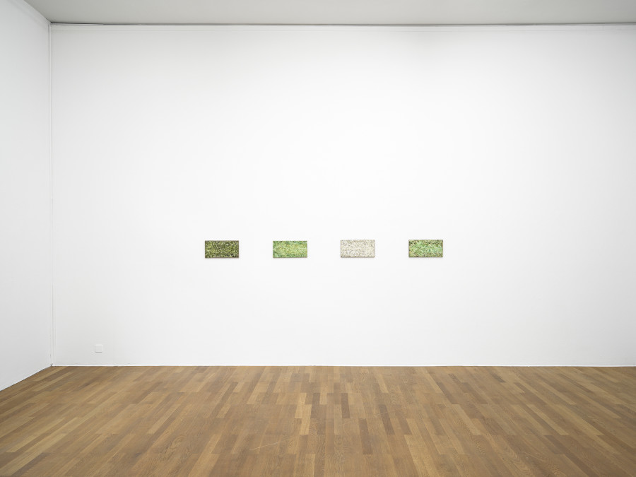 Vera Palme, Diversion, Kunsthalle Winterthur, 2025. Photo: Cedric Mussano. Courtesy of Kunsthalle Winterthur.