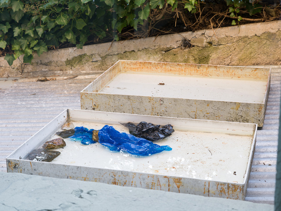 Matthew Peers, Wishing wells (2023-ongoing), installation view, Passages, Kunsthalle Friart Fribourg, 2026. Photo: Cedric Mussano