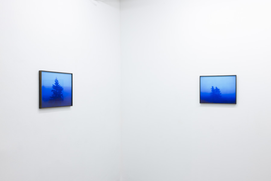 Installation view, Malte Bartsch, T.I.N.A., KALI Gallery, 2024.