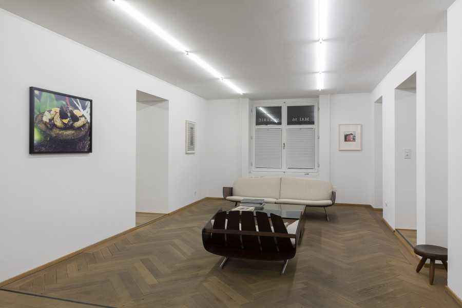 Exhibition view, Photography, Mai 36 Galerie, 2022.