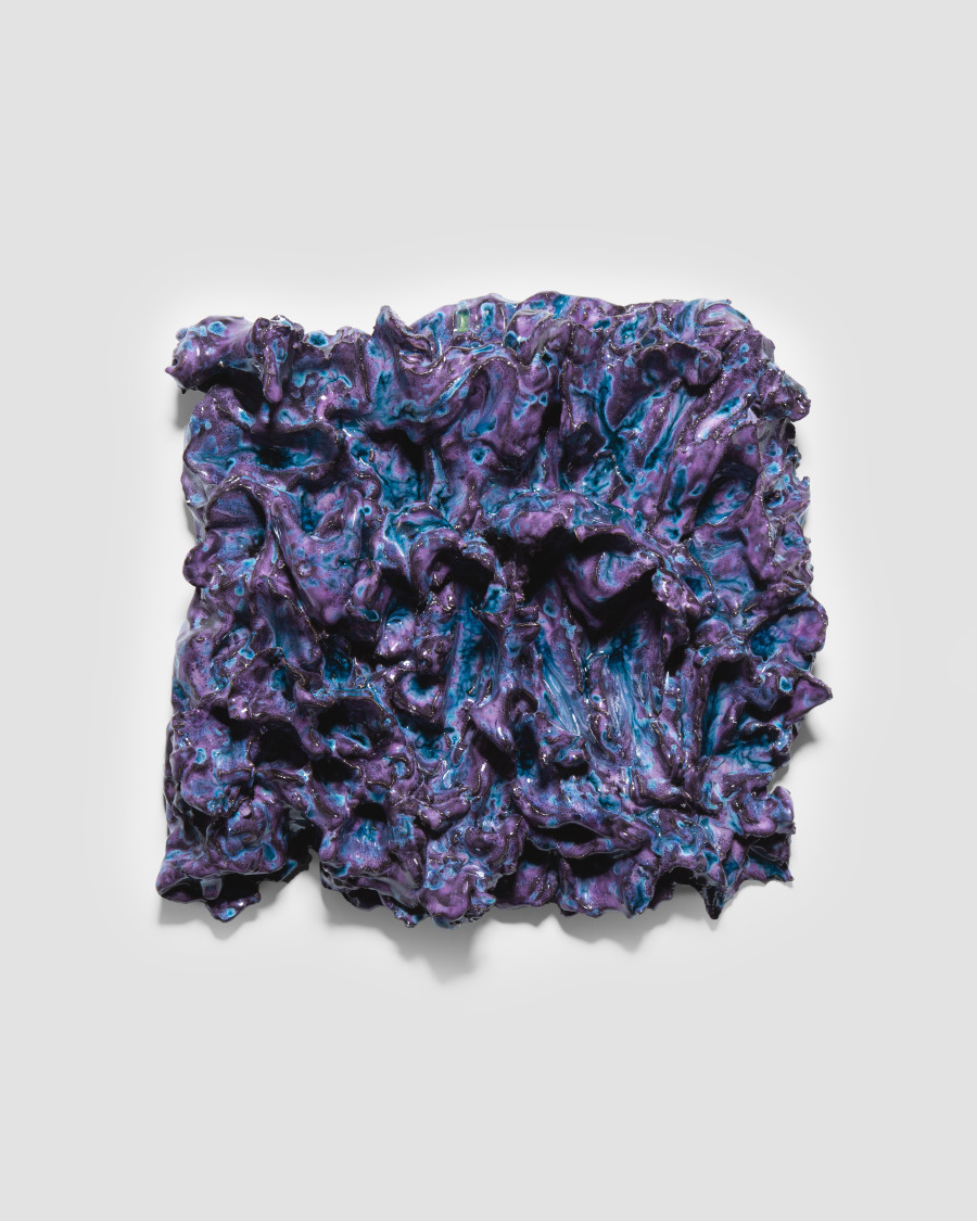 Mai-Thu Perret, The swan is white without bathing, the crow is black without dyeing, 2025