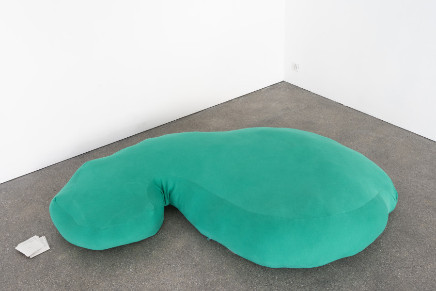 Exhibition view, Je suis le rythme de leurs pupilles, Jo·hana Blanc & Cassiane C. Pfund, Espace 3353, Geneva, 2025. Photo credit: asap slow