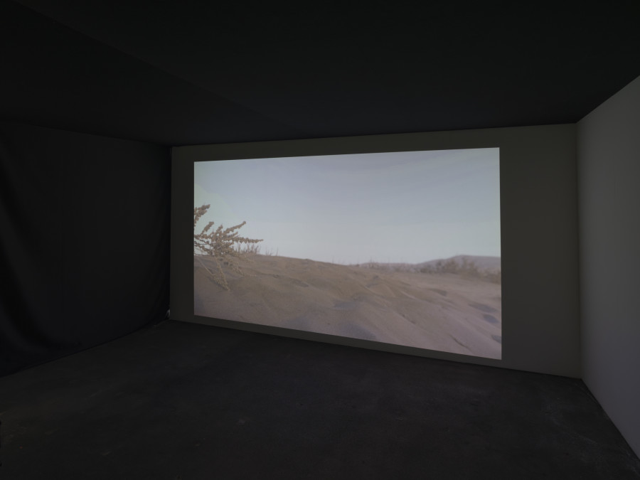 Installation view, Vanessa Safavi, WAVES IN THE CLOSET, Tunnel Tunnel, Lausanne, 2025. Photo credit: Julien Gremaud
