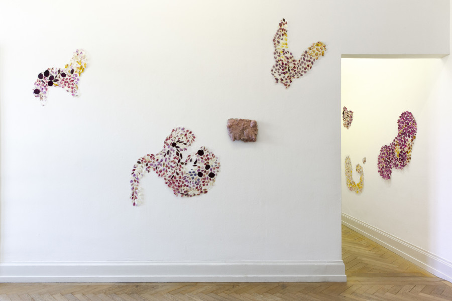 Livia Rita, exhibition view, room 1, Petal Skins, Kunsthalle Palazzo, 2025, Photo: Nina Rieben