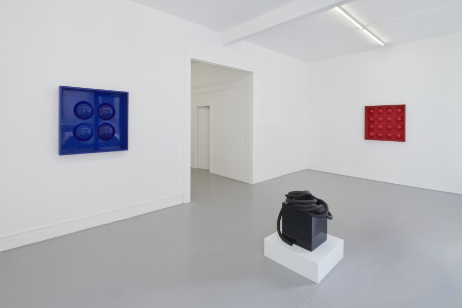 Vanessa Safavi: I feed my dreams slime at night, Installation view, 2023, Fabienne Levy, Photo: Guillaume Python.