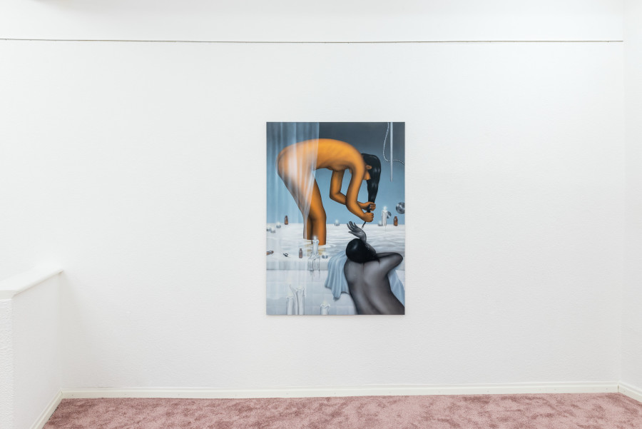 Céline Ducrot, Believe me I’m trying, installation view 2022. Acrylic on wood