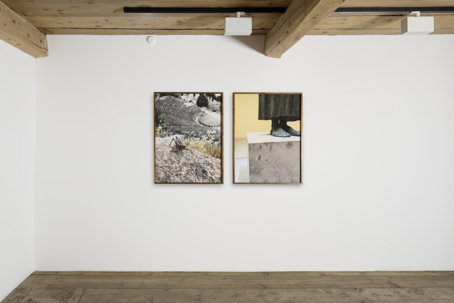 Exhibition view, Su-Mei Tse, Delphi: Grasshopper (Delphi) and The Charioteer of Delphi, 2019, inkjet on fine art paper mounted on dibond, wooden frame & museum glass, 90 x 67.5 cm each (paper), 92 x 69.5 x 4 cm each (framed), diptychon 92 x 149 x 4 cm overall, 4/5. Photo: Ralph Feiner, Courtesy of the artist and Galerie Tschudi