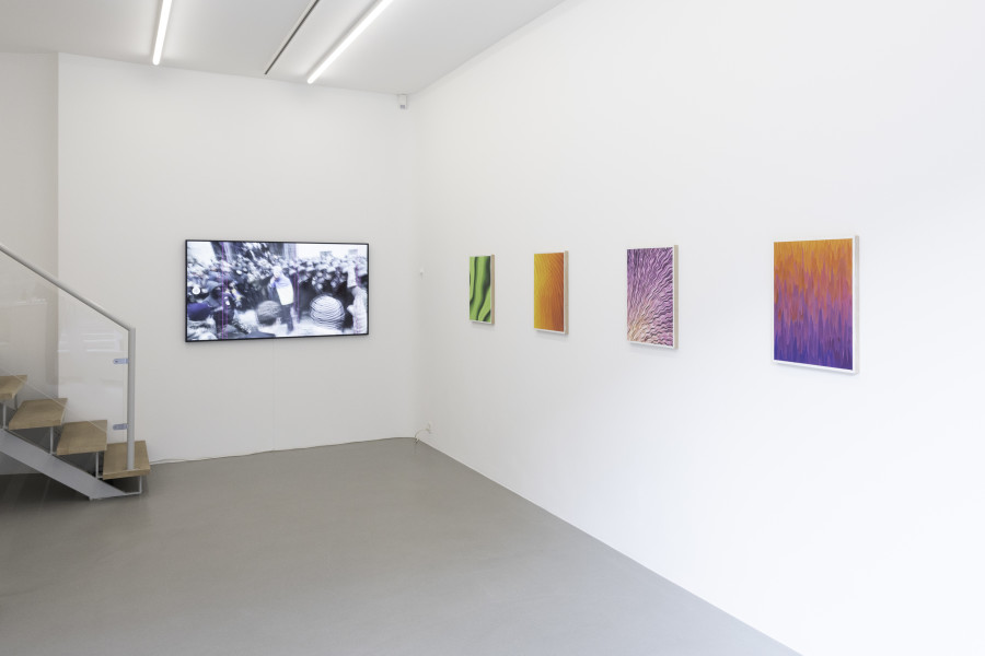 Exhibition view Melanie Smith “Four Positions in Painting“, Galerie Peter Kilchmann, 2022
