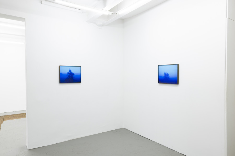 Installation view, Malte Bartsch, T.I.N.A., KALI Gallery, 2024.