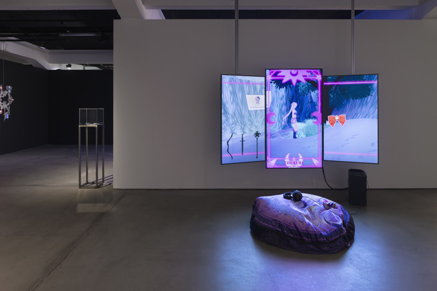 Sian Fan, Lure, 2024, «New Rituals [for the End of the World]», 2026, HEK, photo: Franz Wamhof