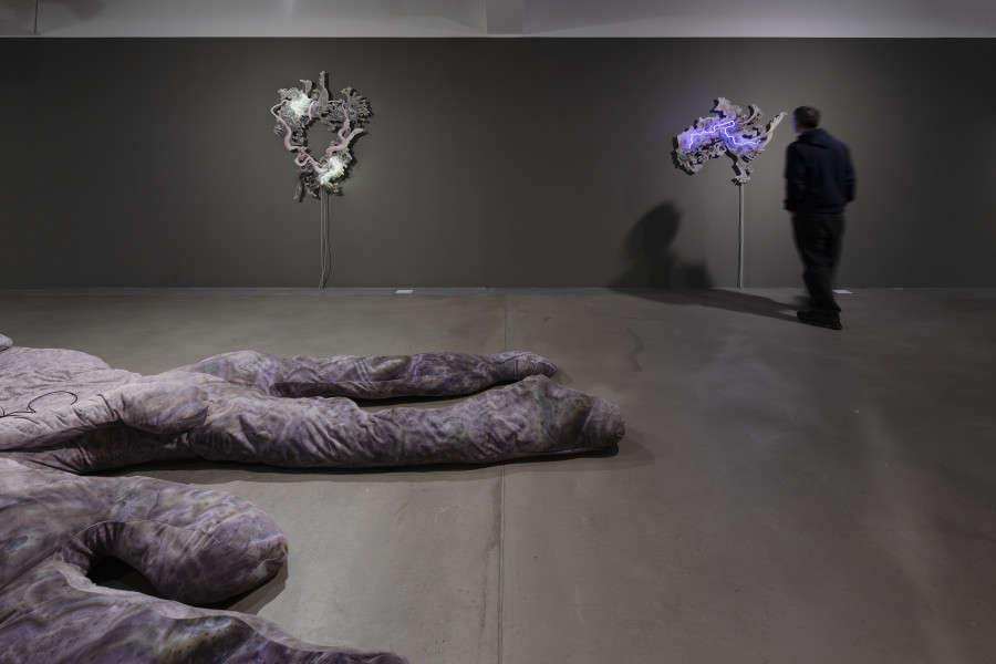 Isabell Bullerschen, exhibition view, «Lukas Truniger, Isabell Bullerschen, Rhona Mühlebach – Swiss Media Art – Pax Art Awards 2025», 2026, HEK, photo: Franz Wamhof