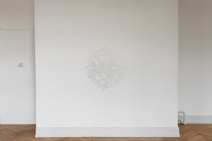 Coniunctio, installation view: Andrea Wolfensberger, Growing Mycelia, 2023, Kunsthalle Palazzo 2023, photo: Jennifer Merlyn Scherler