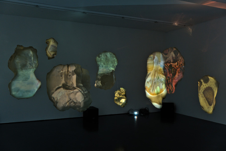 Victoria Holdt: Muscle Memory, installation view, 2023, Kunstraum Aarau.