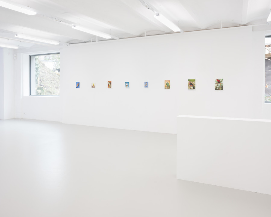 Léopold Rabus, exhibition view, CAN Centre d’art Neuchâtel, 2024. Photography: Sebastian Verdon. Courtesy: Images copyright and courtesy of the artists and CAN Centre d’art Neuchâtel