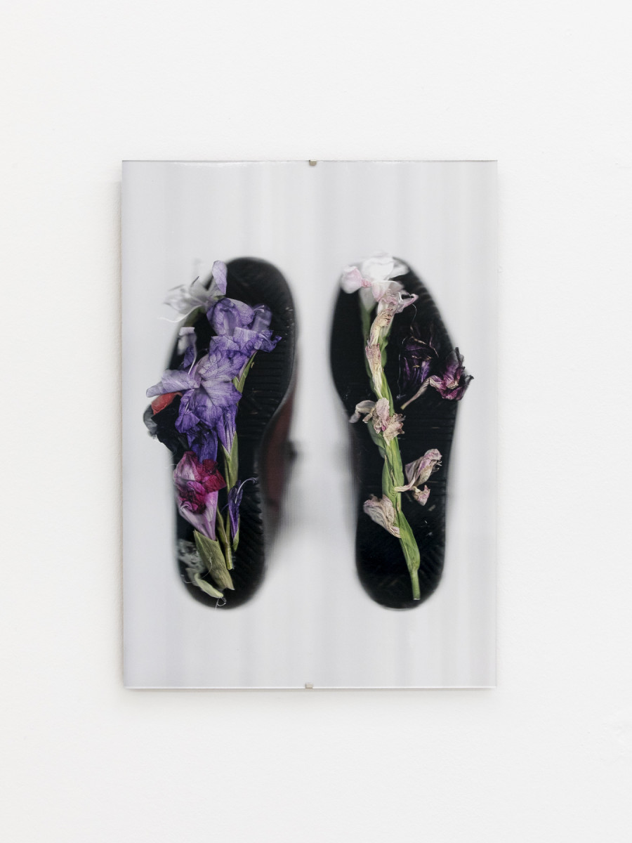 Detail view, Nina Rieben, intention walks with Amélie Bodenmann Floating with your shoes on my feet trying to understand where you are (time in between) Linda’s shoes and Jove’s flowers. Photo credit: Nina Rieben ©