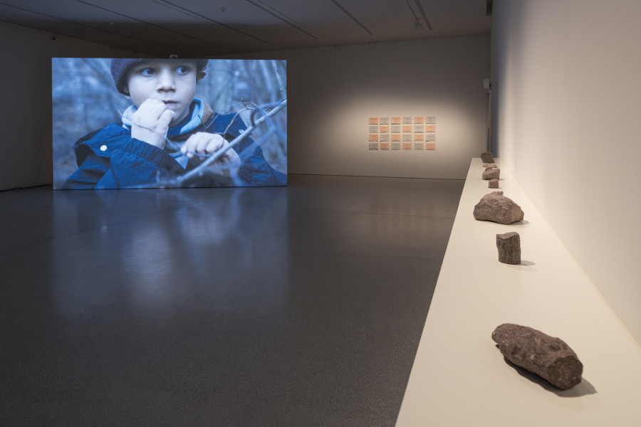 Vue de l’exposition, Uriel Orlow. Forest Futurism, Musée cantonal des Beaux-Arts de Lausanne. © Uriel Orlow. Photo : MCBA /Etienne Malapert