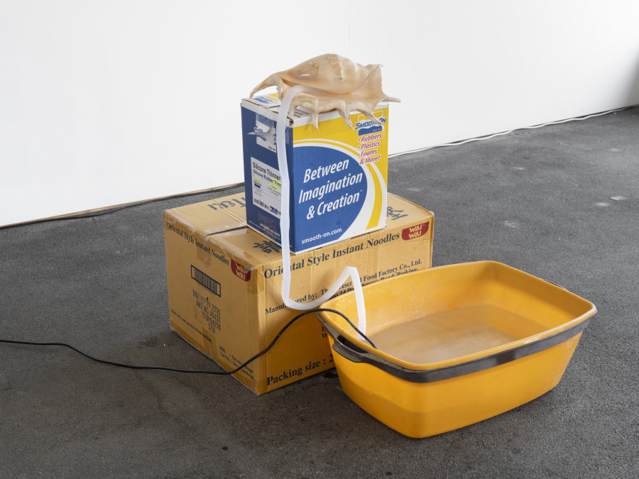 Installation view, Vanessa Safavi, WAVES IN THE CLOSET, Tunnel Tunnel, Lausanne, 2025. Photo credit: Julien Gremaud