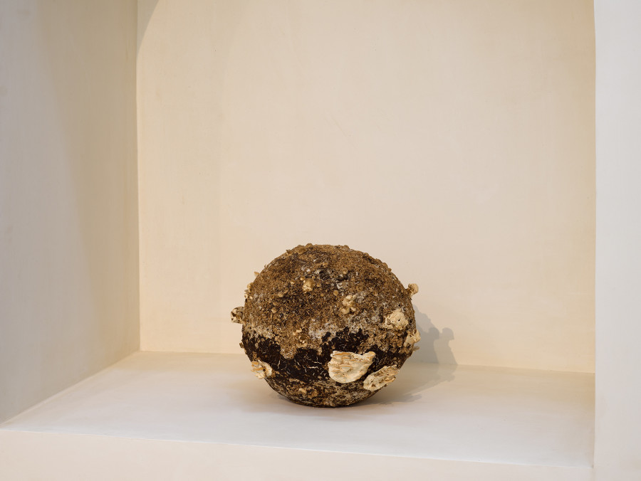 Nour Mobarak, Apollo Copy (2023), detail view, Passages, Kunsthalle Friart Fribourg, 2026. Photo: Cedric Mussano