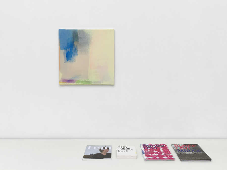 Exhibition view, Renée Levi, Lésédy, Galerie Mezzanin, 2024. Photo credit: © Annik Wetter