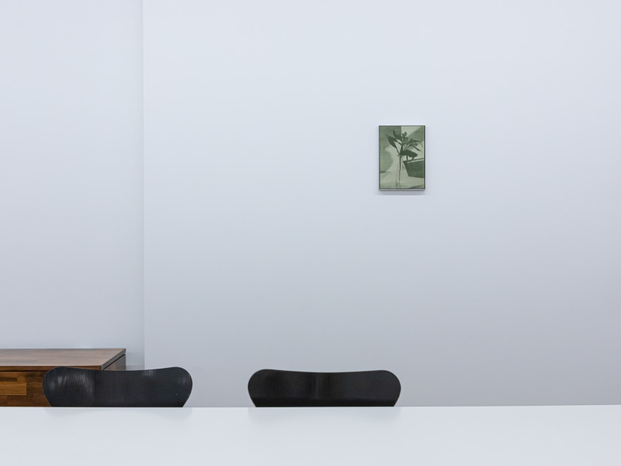 Poppy Jones: Interiors, Mai 36 Galerie, Installation view, 2022, Photo credits: Céline Hess