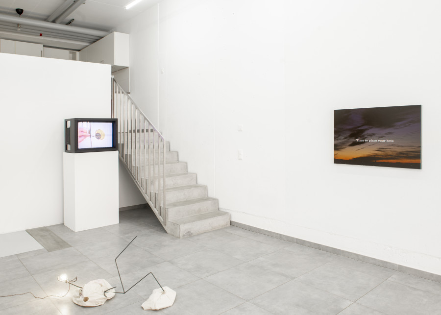 Exhibition view, Why Do We Say a House Burns Down, When The Fire Is Burning Up?, All Stars, Lausanne — Picture © Simon Rimaz