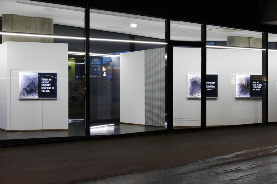 Along A Long So Long, installation view, 2021. VITRINE, Basel. Courtesy of the artist and VITRINE. Photographer: Nici Jost.