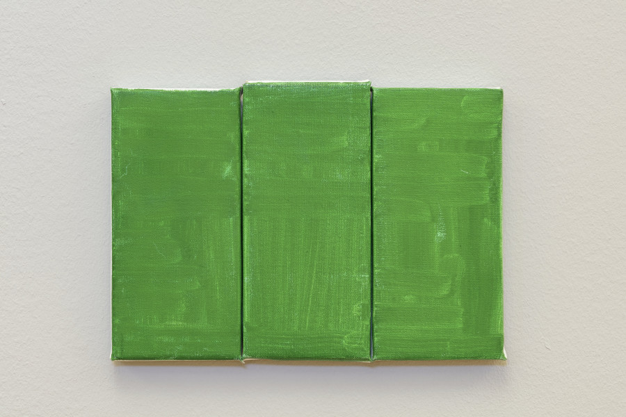 Raoul De Keyser, Green Green Green, 2012, Foto: Stefan Rohner