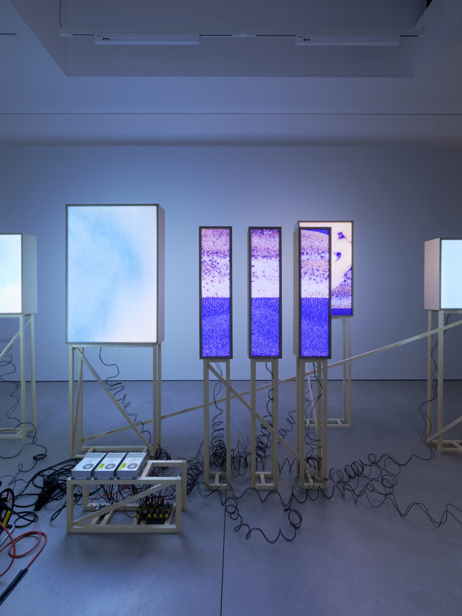 Installation view One Another – Kara Springer and the Collection of Fotomuseum Winterthur © Fotomuseum Winterthur / Conradin Frei