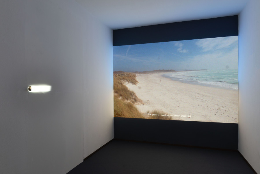 In un Vuoto Cielo, installation view, Sonnenstube Offspace, 2023. Photo:Mattia Angelini