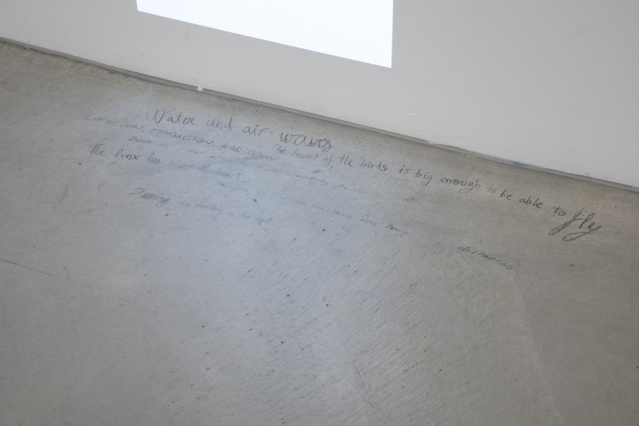 Close-up view, Noa & Lara Castro Lema, Subtítulos (Subtitles), pencil writing on the floor, variable dimensions, 2024. Photo credit: Nina Rieben ©